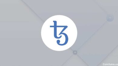 A Beginner’s Guide To Tezos, The Self Evolving Governance Model