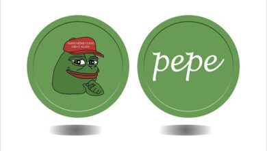As Pepe Struggles To Maintain His Early 150x Boom, Is