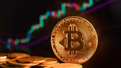 Bitcoin Etf Approvals To Drive $1t Crypto Market Surge: Cryptoquant