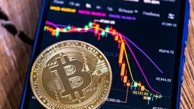 Bitcoin Offers Hope Along With These Undervalued Altcoins