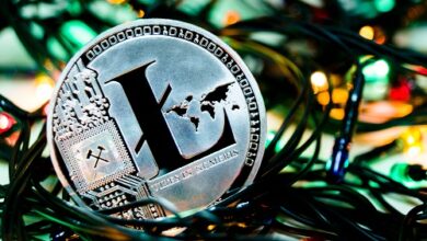 Litecoin (ltc) Soars As Bitcoin Hits $30k