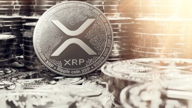 Xrp Rises 8% As Large Investor Holdings Hit Three Month High