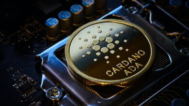 Cardano Summit 2023: Merging Ai And Blockchain, Funding, And Day