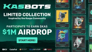 Celebrating Kaspa's 2nd Birthday: $1m Airdrop Campaign With Okx, Coinpal.io