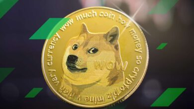 Dogecoin Climbs Above $0.075 To 3 Month High, But Metrics Show
