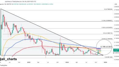Dogecoin To Double Its Price If This Barrier Breaks, Analyst