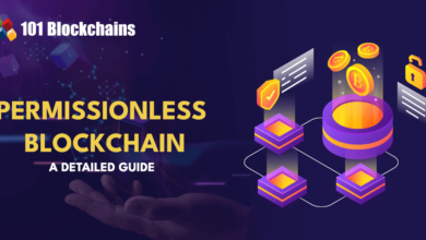 Permissionless Blockchain: A Definitive Guide