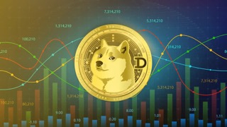 Prepare For Take Off: Dogecoin Whales Have Injected $2 Billion Into