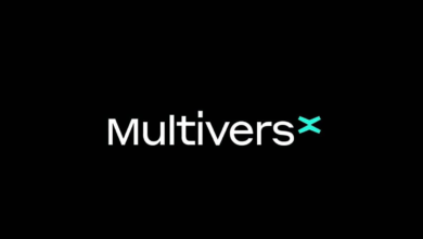 Top Crypto Gainers Today Nov 5 – Multiversx, Immutable, Illuvium,