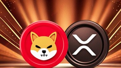 Xrp And Shiba Inu Rally Is Not Over According To