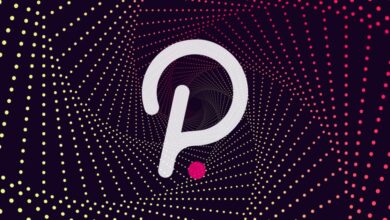 Polkadot's 2023 Annual Report: A Comprehensive Analysis