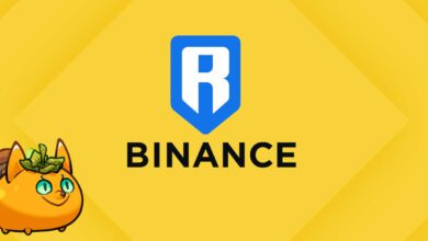 Ronin Token ‘$ron’ Approaches 1m Daily Users On Binance