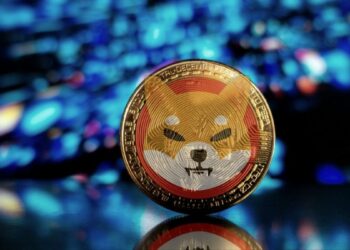 Shibarium’s Activity Surge: Wallet Growth And Elevated Shib Burn Rate