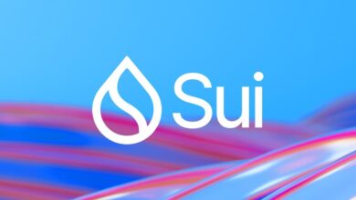 Sui Joins Defi Leaders, Topping $100m In Bridged Usdc