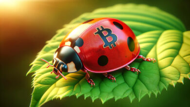 Bitcoin Developer Fails To Rally Support For ‘bug Fix’ To