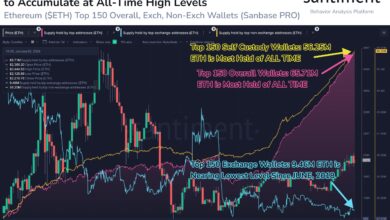 Ethereum Mega Whales Continue To Buy: Do They Know Something