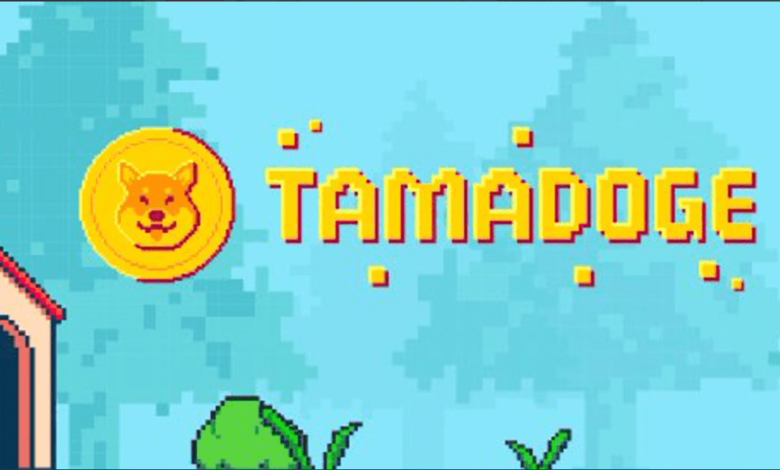 Play To Earn Games Trailblazer Tamadoge Unveils $tama V2 On Polygon