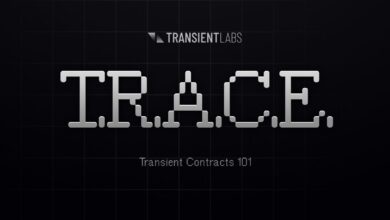 Revolutionizing Art Authentication: T.r.a.c.e. Technology By Transient Labs