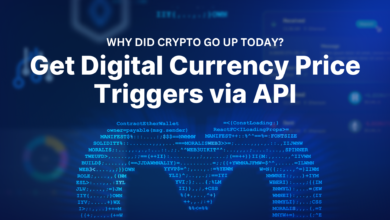 Why Did Crypto Go Up Today? Get Digital Currency Price