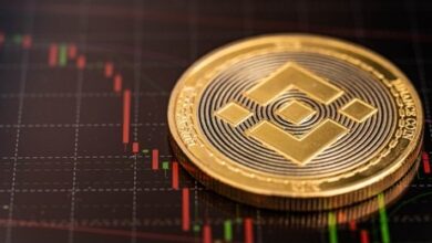 Aave Joins Binance’s Bnb Chain Ecosystem – Here’s How Users