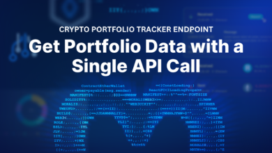 Crypto Portfolio Tracker Endpoint – Get Portfolio Data With A