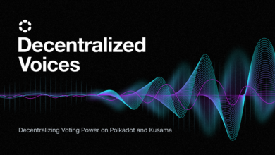 Decentralized Voices Program