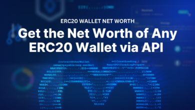 How To Get The Net Worth Of Any Erc20 Wallet