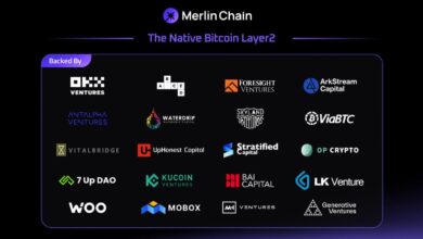 Merlin Chain Secures Funding To Empower "bitcoin Native" Innovations