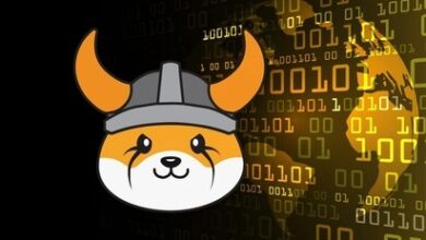 Floki Inu Roadmap Reveals Plans For Regulated Bank Accounts, Floki