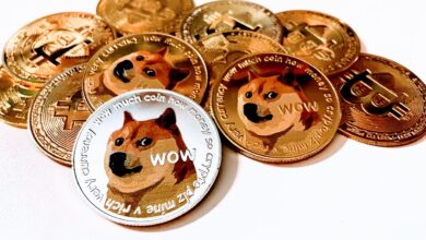 Dogecoin Whales Fill Up Their Bags As Price Rallies –