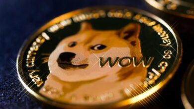 Elon Musk Latest Tweet: How Much Did Dogecoin Gain From