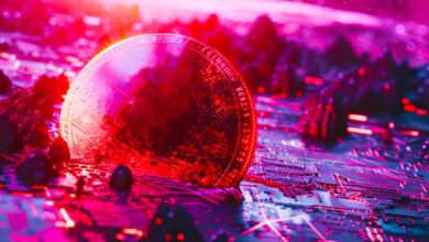 This Altcoin Group Will Run First After Market Wipeout As