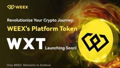 Weex Exchange Unveils Wxt Token To Enhance Ecosystem And Reward