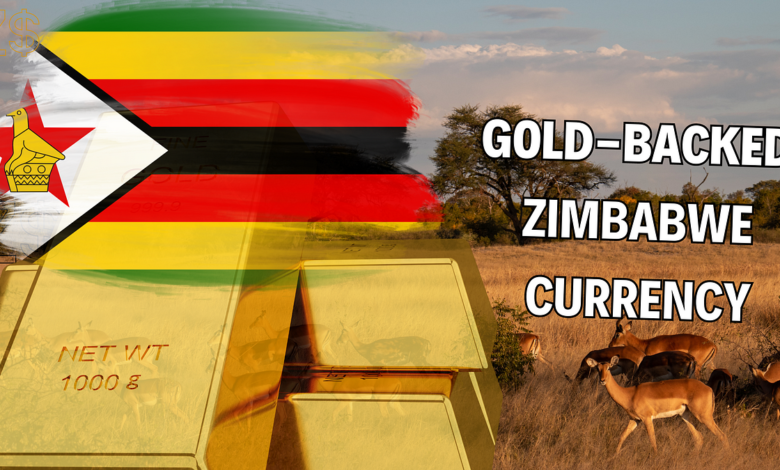 Zimbabwe Introduces Zim Gold Currency To Combat Soaring Inflation |