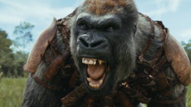 Kingdom Of The Planet Of The Apes’ Vfx Lead Argues