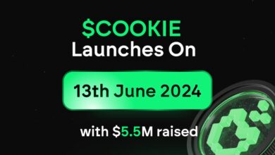 $cookie Sets To Launch On June 13th After Securing $5.5m