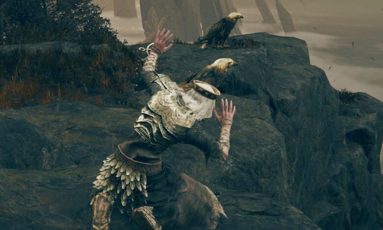 Elden Ring Dlc’s Screechy Birds Are Scaring The Crap Out