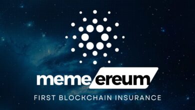 Memereum Sells Over 23 Million Tokens In Presale As Solana