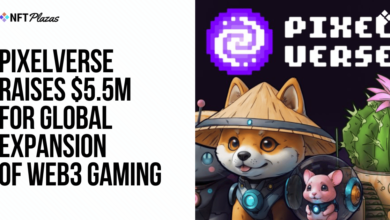 Pixelverse Raises $5.5m For Global Expansion Of Web3 Gaming