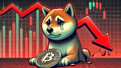Shiba Inu Caught In The Crosshairs Of Binance’s Crypto Delisting