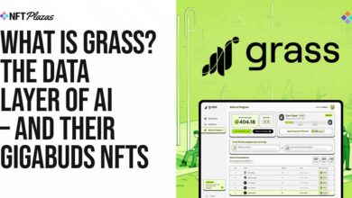 What Is Grass Ai? The Data Layer Of Ai –