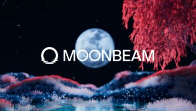 ‘moonrise’ Initiative Signals Next Phase In Evolution For New Look Moonbeam