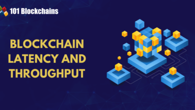 A Deep Dive Into Blockchain Latency And Throughput