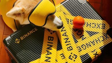 Binance Teases ‘next Chapter’ For Shiba Inu: What Could It