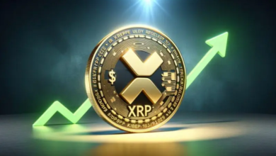 Crypto Ceo Says Ripple's (xrp) Incoming Bull Run Will Be