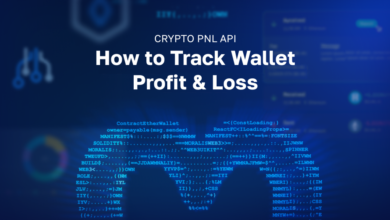 Crypto Pnl Api – How To Track Wallet Profit &