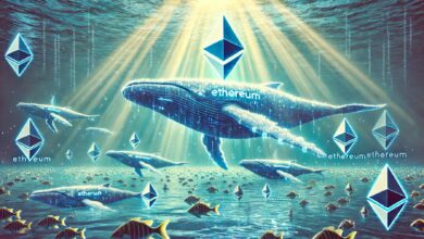 Ethereum Whales Rapidly Accumulate Eth Amid Price Decline
