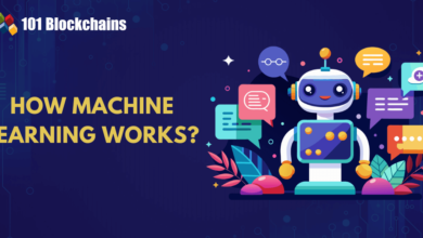 How Machine Learning Works Step By Step?