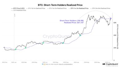 Last Resistance: Bitcoin Now Testing Final Short Term Holder Cost Basis