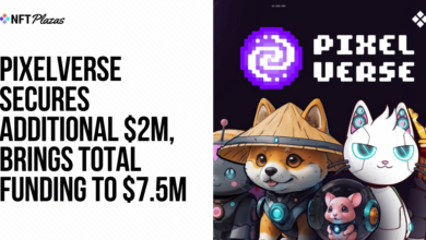 Pixelverse Secures Additional $2m, Brings Total Funding To $7.5m